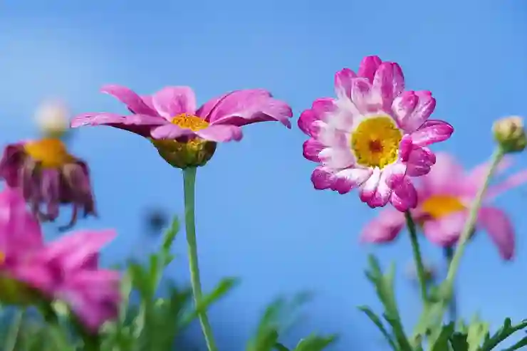 서울동부구치소 홈페이지 활용법 | 온라인 접견 예약 방법
