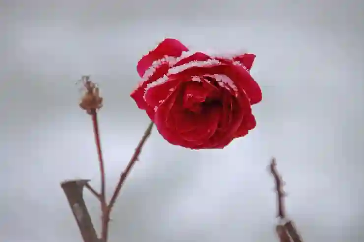 수원 망포 드림컴퓨터 | 학원비 | IT 교육과정 | 코딩 커리큘럼 | 취업연계 | 학습효과 | 상담방법