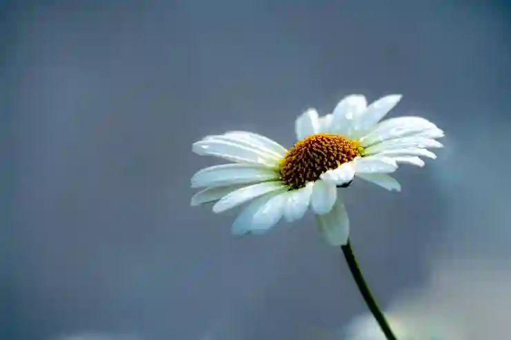 에어컨 소리 날때 고장 진단 | 실외기/실내기 점검 | 필터 청소 및 가스 점검법