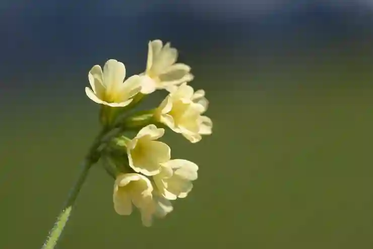 대출 연장 절차 안내 | 신청에서 승인까지 정보 제공 | 승인 조건 및 서류 정리