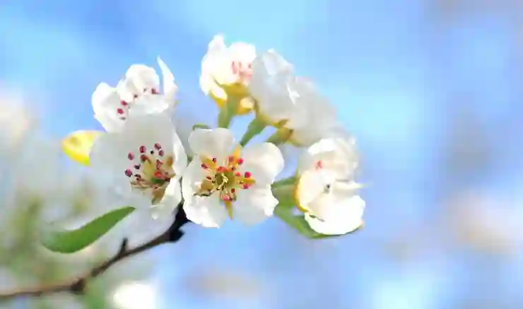 신혼부부 청약 조건 완벽 이해하기 | 소득/자산/나이 자격 총정리