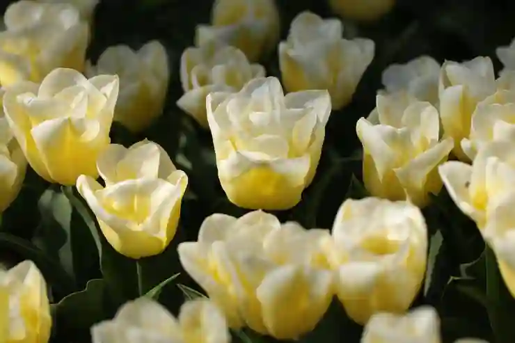 뼈를 튼튼하게! 골다공증 예방을 위한 건강한 생활수칙 알아보기