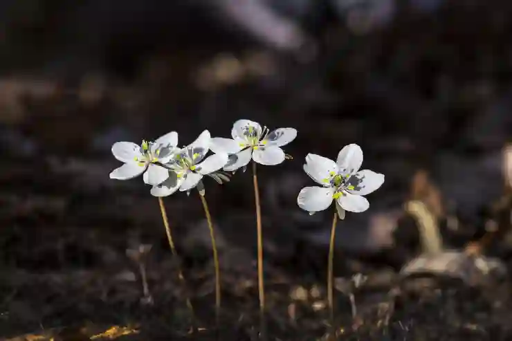 금연 성공을 위한 단계별 전략과 장기 유지 비법 알아보기
