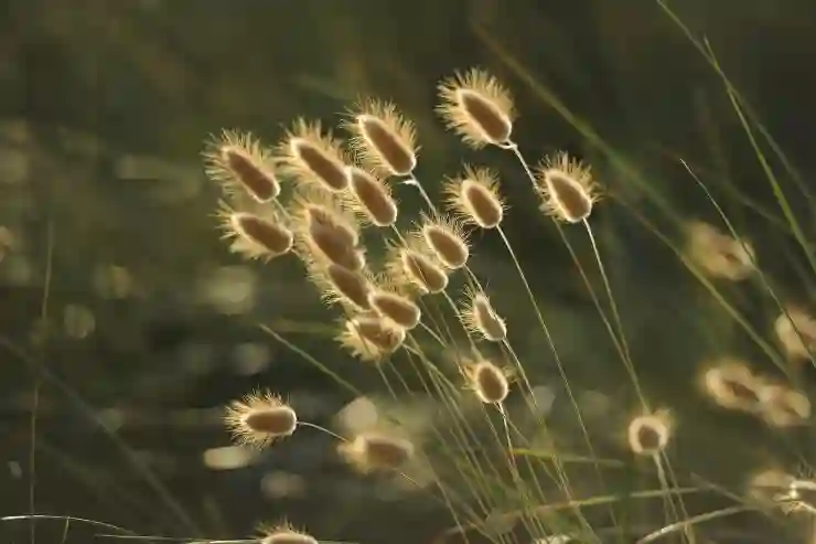 노동분쟁 조정제도 완벽 가이드와 소송 대응 전략 살펴보기