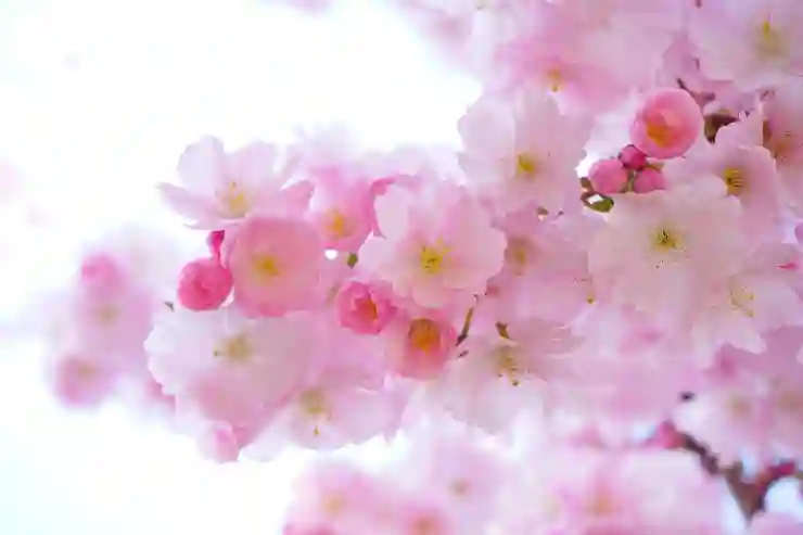 대치동 퓰리처 국어논술로 성공적인 합격을 이끄는 전략과 꿀팁 살펴보기