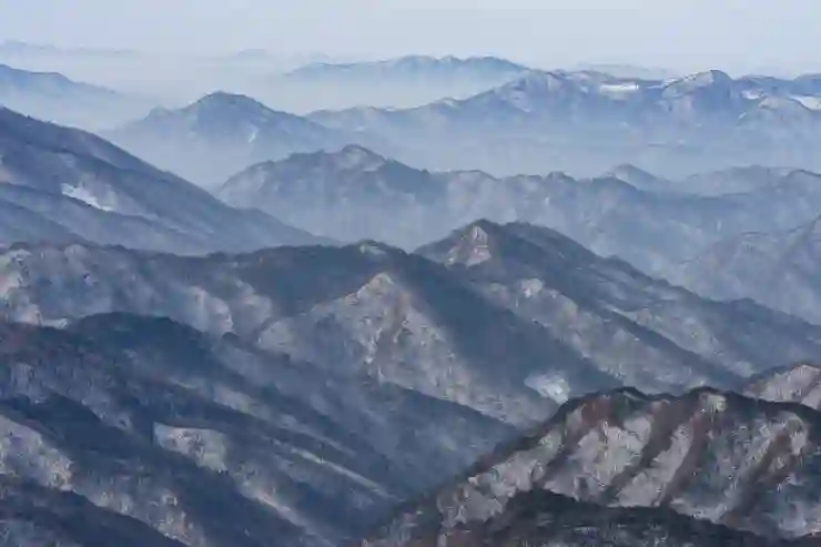 카드 발급 확인과 미수령 카드 대처법 완벽 가이드