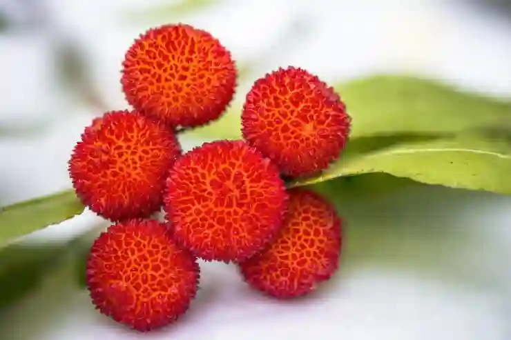 인천 중구 독감 예방접종 가능한 병원 리스트 알아보기