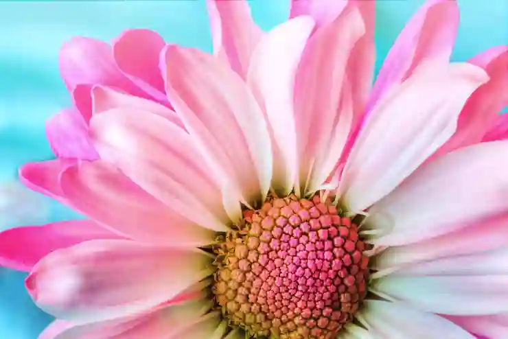 통증을 이겨내는 스마트한 대처법 알아보기