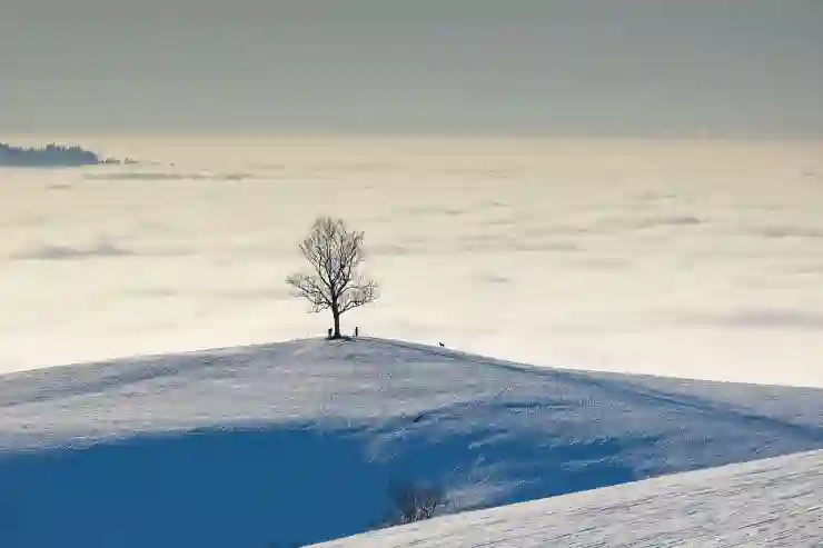 평을 제곱미터로 쉽게 환산하는 꿀팁 알아보기