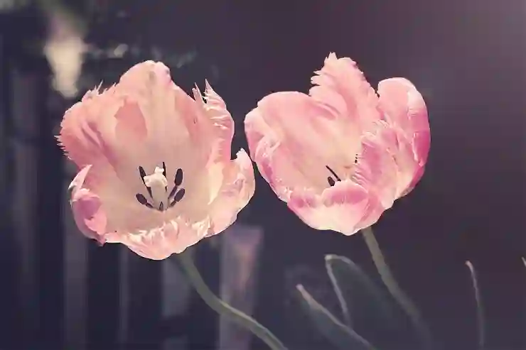 합의이혼 숙려기간, 자녀 유무에 따라 달라지는 비밀 알아보기