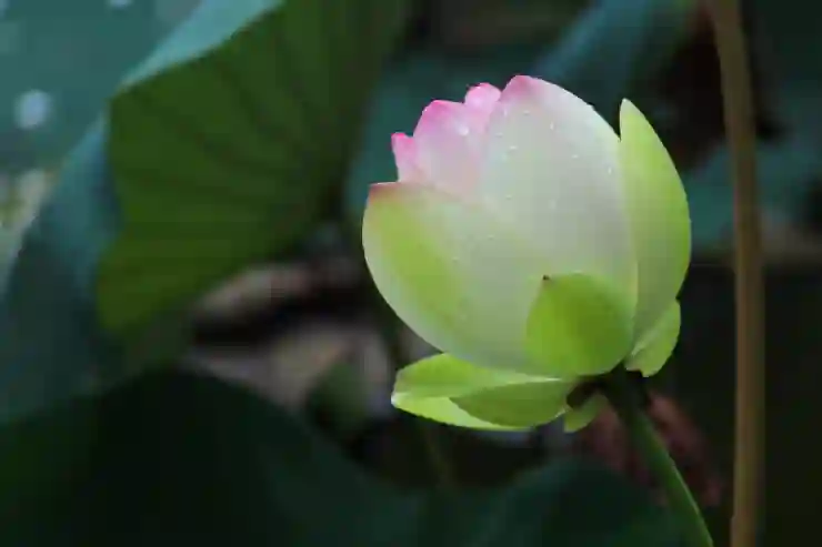 창원NC파크 직관 후 피로회복 꿀팁