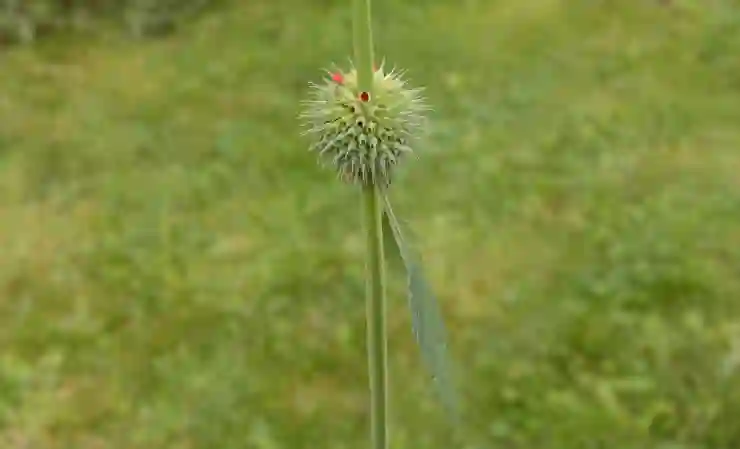 창원NC파크 응원단 응원 스타일 변화