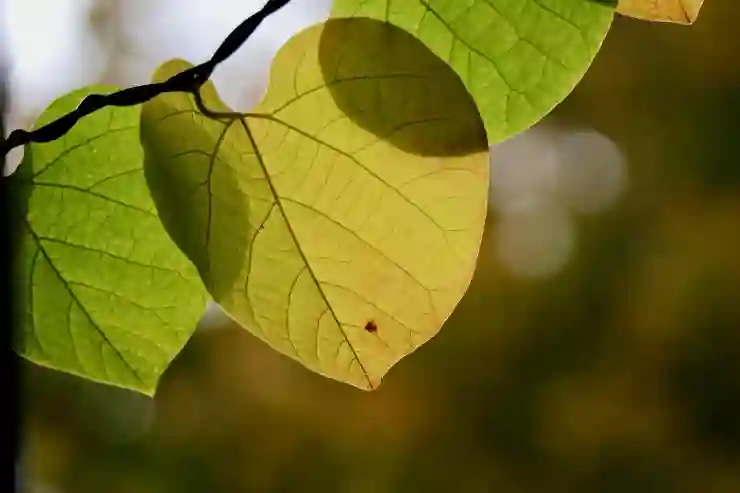 창원NC파크 좌석별 인기 정도 순위
