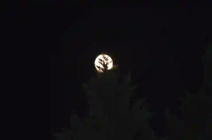 창원NC파크와 함께한 여름밤
