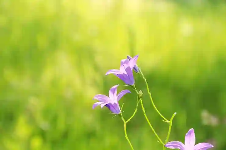 가성비 최고! 샤오미 초인종의 매력과 기능 알아보기
