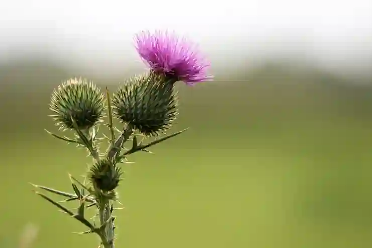 네이버 맞춤법 띄어쓰기 검사기 완벽 활용법 알아보기