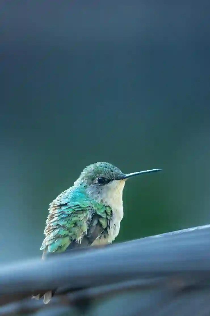 모바일 유튜브 간편하게 로그아웃하는 팁 알아보기