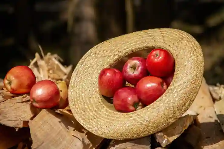 창원NC파크 여름철 모자 착용의 필수 이유와 효과 알아보기