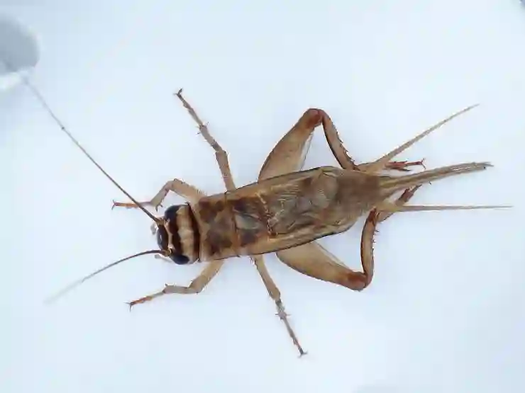 창원NC파크에서의 짜릿한 현장감, 최고의 자리 선택 꿀팁