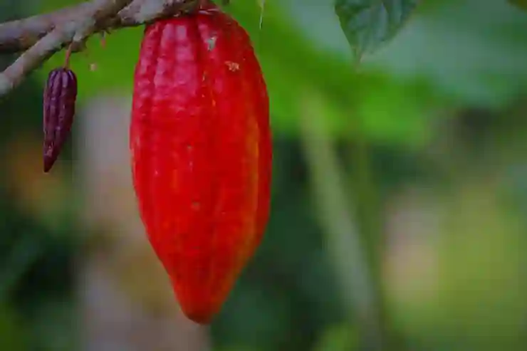 카카오톡으로 간편하게 주민등록등본 발급받는 법 알아보기