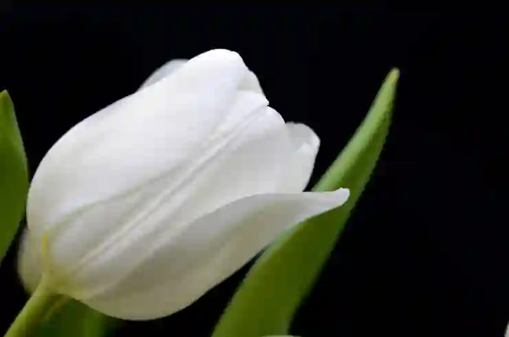 자동차 세금 계산법 총정리 | 취득세/자동차세/환경개선부담금 산출