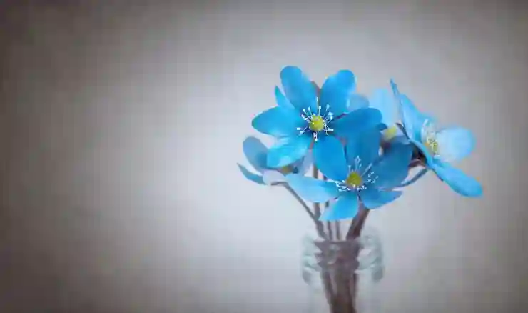 관세음보살 정근으로 마음의 평화를 찾는 법