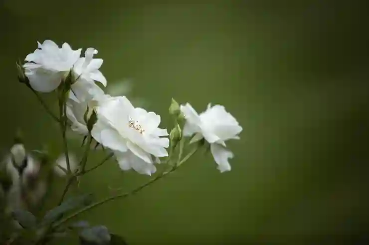 카카오톡 오픈채팅방 쉽게 만들고 삭제하는 법 알아보기