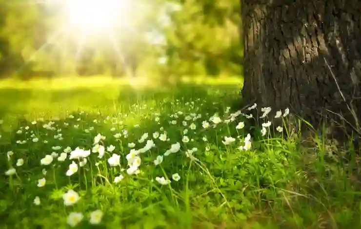 자연을 존중하는 선택, 포경수술 반대의 이유 알아보기