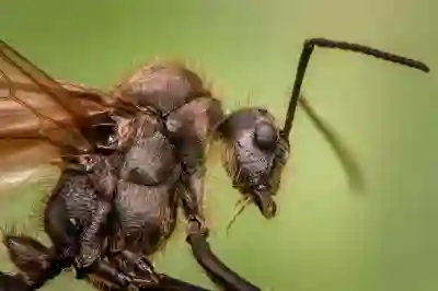 소형레이저 각인기 레이저패커 프로 활용법 알아보자
