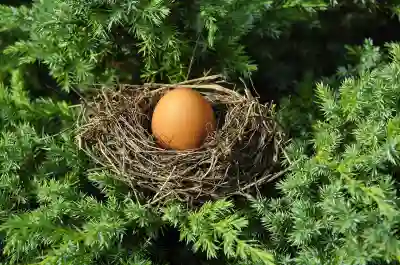알집 무료 다운로드 EGG 알집 압축 풀기