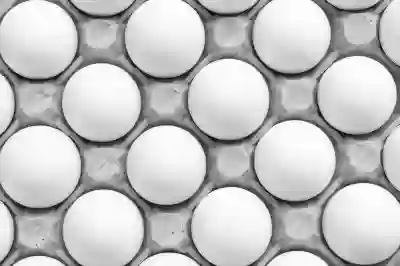 알집 무료 다운로드 EGG 압축풀기