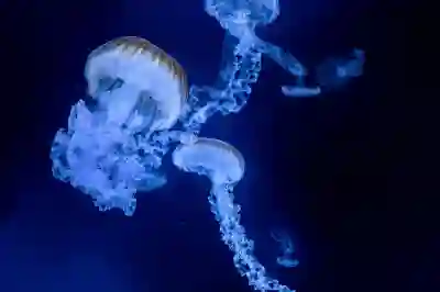 미투디스크 무료쿠폰 2만P 받는 방법 알아보자