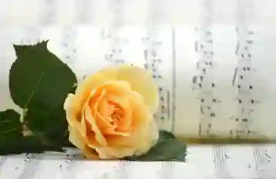 암호화 프로그램 이지크립트 다운로드 및 사용법 안내