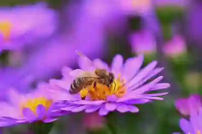 엣지에서 인터넷 익스플로러 모드 사용법: 단계별 가이드!