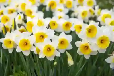 사회복지사 실습기관 신청 방법 및 인정 기준, 주의사항 알아보세요!