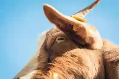 주말 드라이브 코스 추천: 파주 임진각과 평화곤돌라