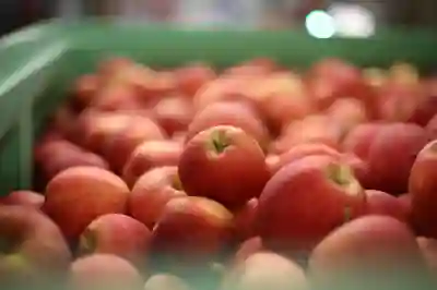 맛과 건강을 동시에! 5가지 새로운 패스트푸드 트렌드