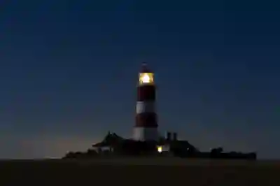 내성발톱 고름 치료를 위한 병원 선택 가이드