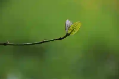 더쿠 회원가입 기간 및 조건 알아보자