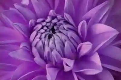 신성한 이혼의 매력과 숨겨진 요소 살펴보기