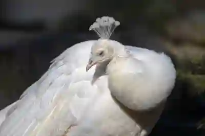 9급 공무원 월급 실수령액과 공제액 살펴보자