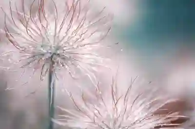 MP3 용량 줄이는 5가지 꿀팁