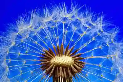 경북대학교치과병원 임플란트 및 크라운 비용과 예약 방법 알아보자