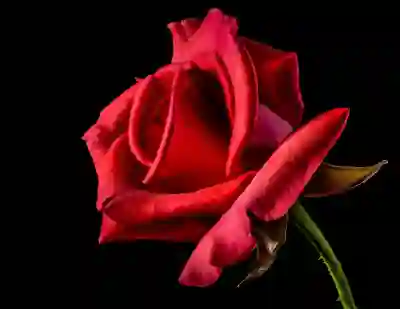 명인치과병원 임플란트 및 크라운 비용 알아보자