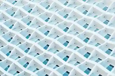 보스웰리아의 효능과 안전한 복용법 알아보자