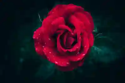 부산 개인회생 법원 신청 방법과 자격조건 알아보자