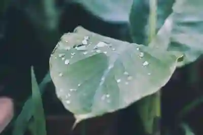 계란 맛있게 삶는 꿀팁 알아보자