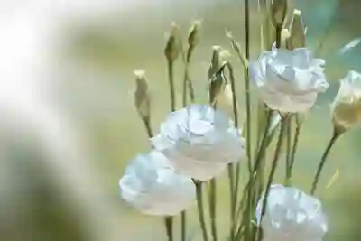 서울시청일자리의 다양한 공공일자리 취업 지원 프로그램 살펴보기