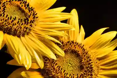 스미싱 문자 예방을 위한 필수 체크리스트 알아보자