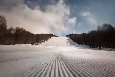 쌍용자동차 서비스센터 AS센터 위치와 전화번호 알아보자